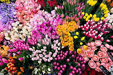 Warframe全新版本《谷底之群智》正式上线，深入未知探索挑战与宝藏